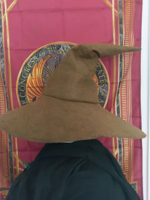 Wizarding Hat Wool Blend